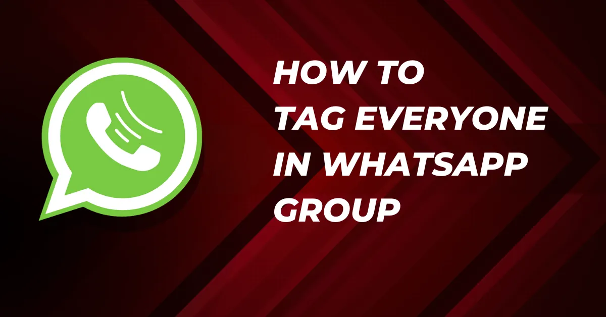 How to Tag Everyone in WhatsApp Group