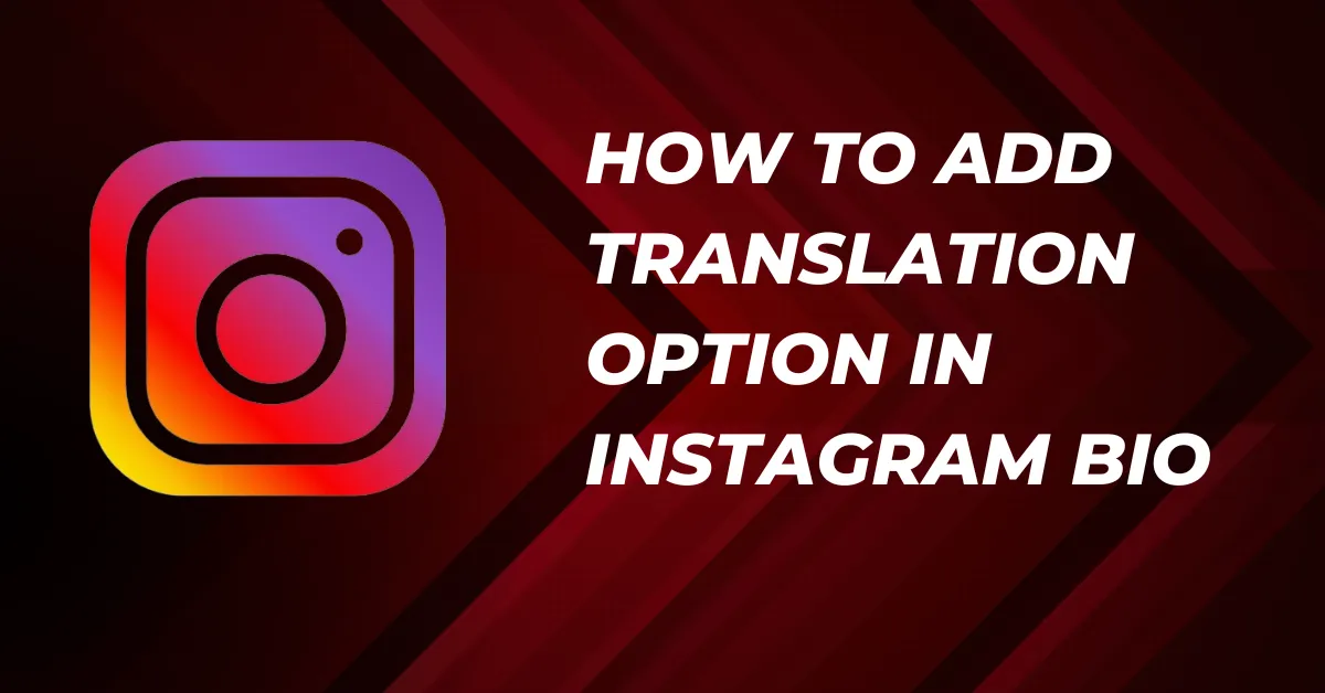 How To Add Translation Option In Instagram Bio